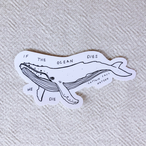 Large Whale Sticker